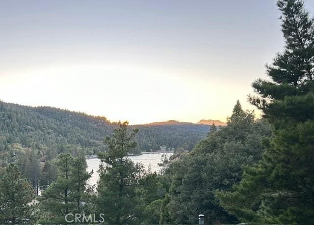 494 Delle Dr, Crestline, CA 92325 - view of mountain background with a forest