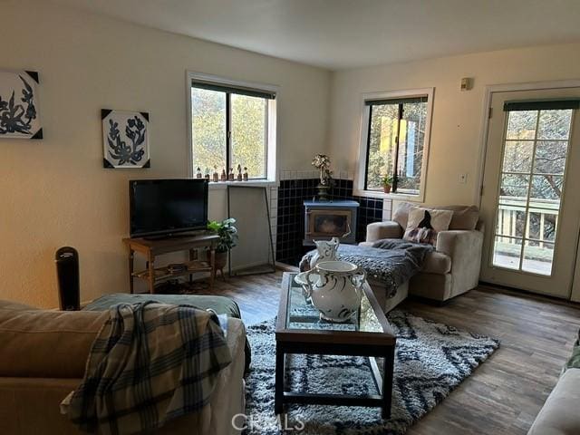 living room with hardwood / wood-style floors and a wood stove