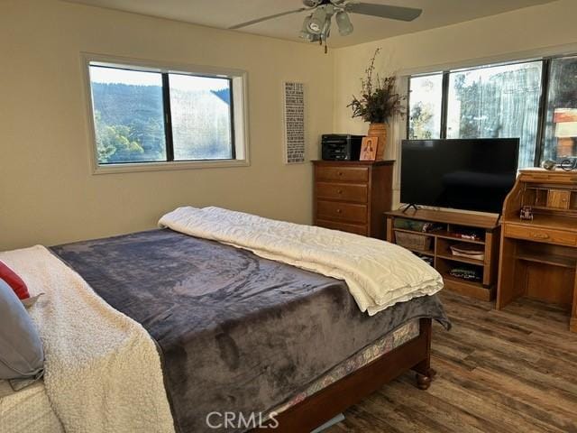 bedroom featuring multiple windows, ceiling fan, and hardwood / wood-style floors