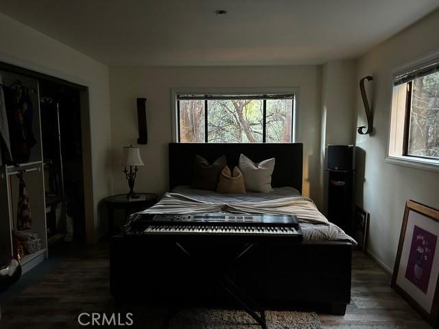 bedroom with dark hardwood / wood-style floors and a closet