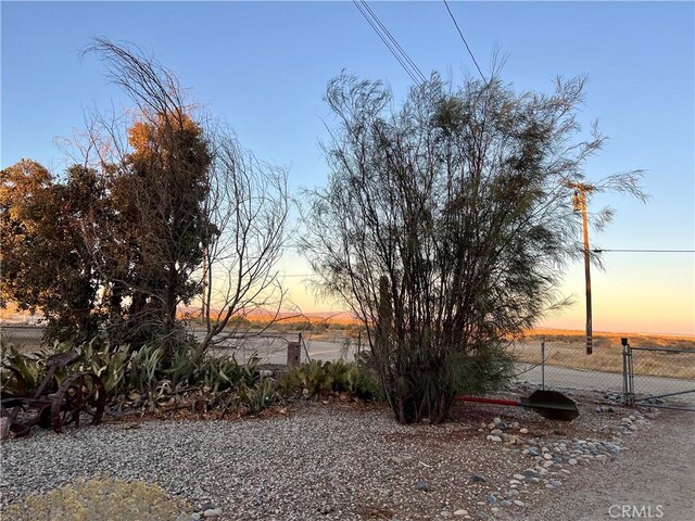 view of yard at dusk