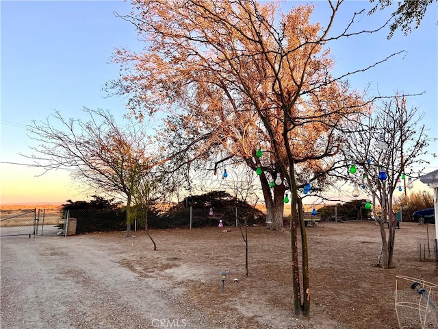 view of yard at dusk