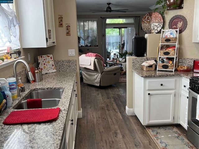 kitchen featuring white cabinetry, light stone countertops, sink, dark hardwood / wood-style floors, and crown molding