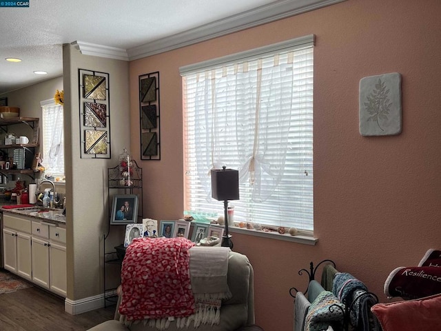 living area featuring dark hardwood / wood-style floors, a healthy amount of sunlight, crown molding, and sink