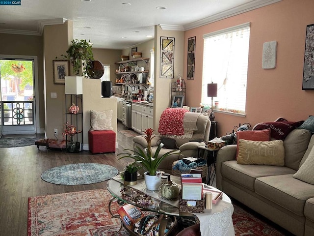 living room with crown molding and dark wood-type flooring