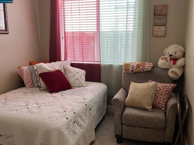 bedroom with carpet flooring