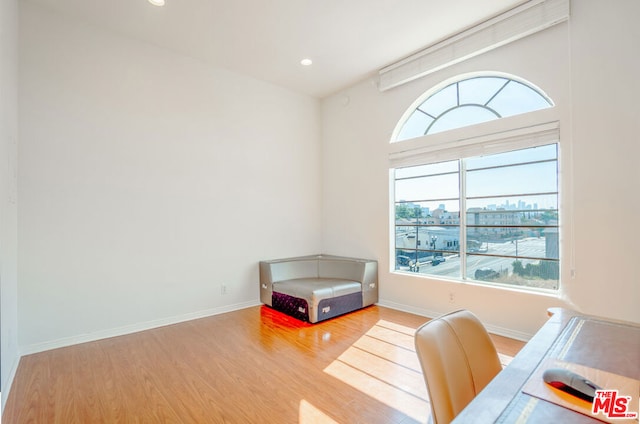 office area with a wealth of natural light and wood-type flooring