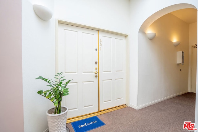 view of carpeted foyer