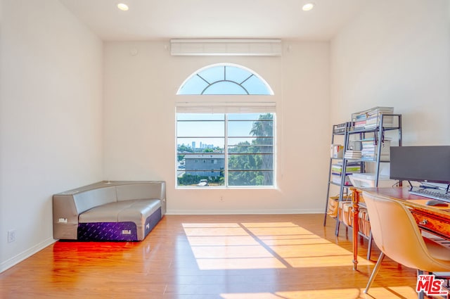 home office featuring wood-type flooring