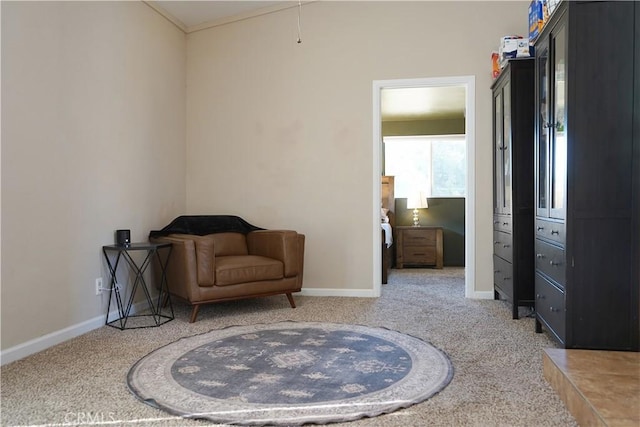 living area with carpet floors