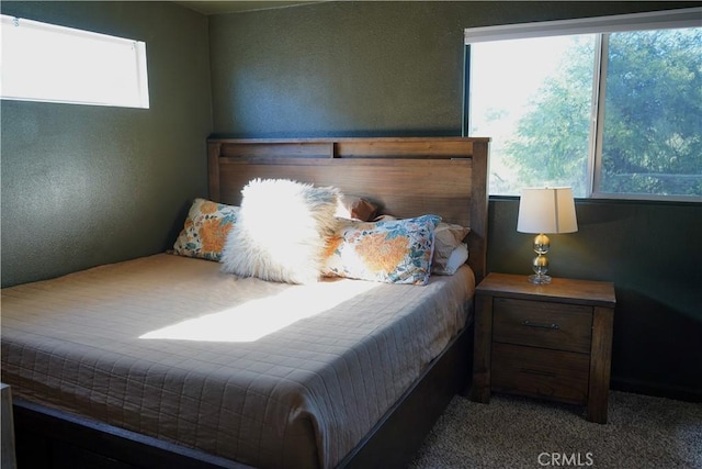 bedroom featuring carpet floors and multiple windows