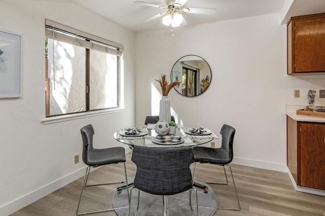 dining area with ceiling fan and light hardwood / wood-style floors