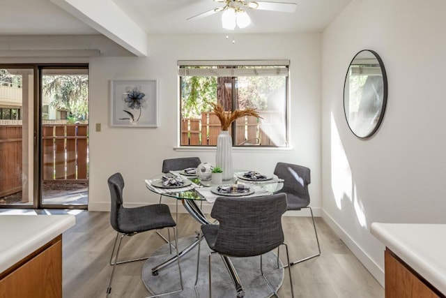 dining room with light hardwood / wood-style floors and ceiling fan