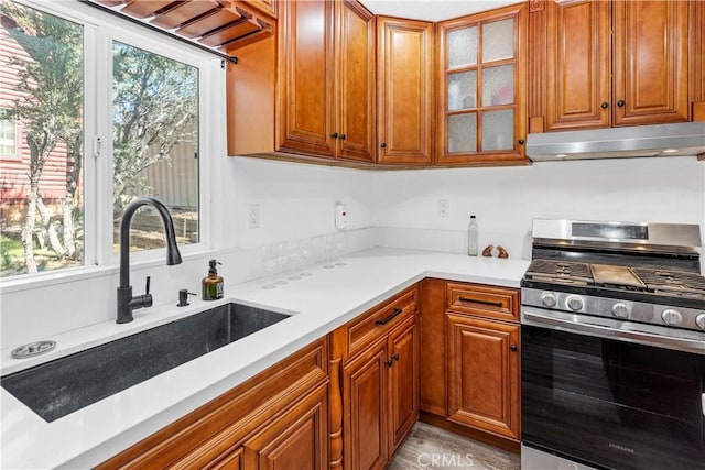 kitchen featuring plenty of natural light, stainless steel gas range oven, light hardwood / wood-style floors, and sink