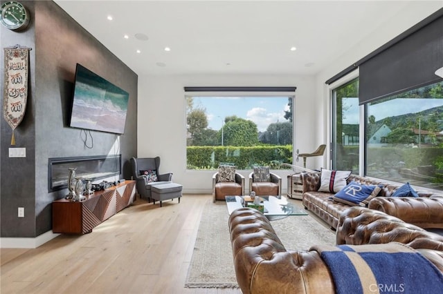 living room with light hardwood / wood-style flooring