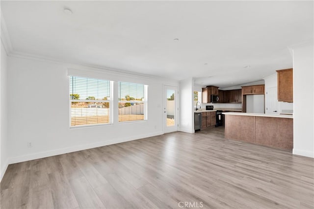 unfurnished living room with light hardwood / wood-style floors, ornamental molding, and sink