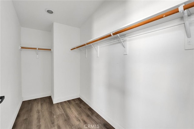 spacious closet with dark wood-type flooring