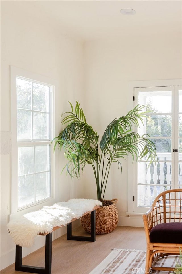 sitting room with plenty of natural light