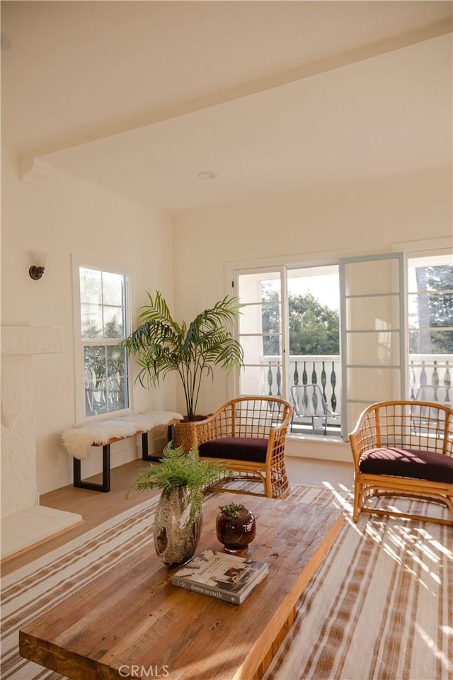 interior space featuring hardwood / wood-style floors and a healthy amount of sunlight