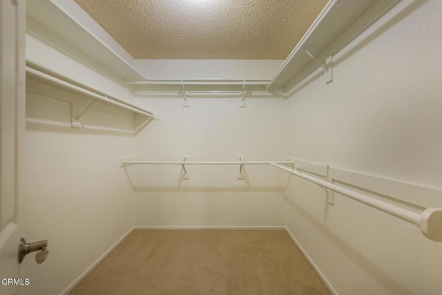 walk in closet with carpet