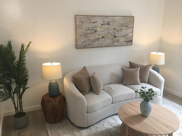 living room featuring wood-type flooring