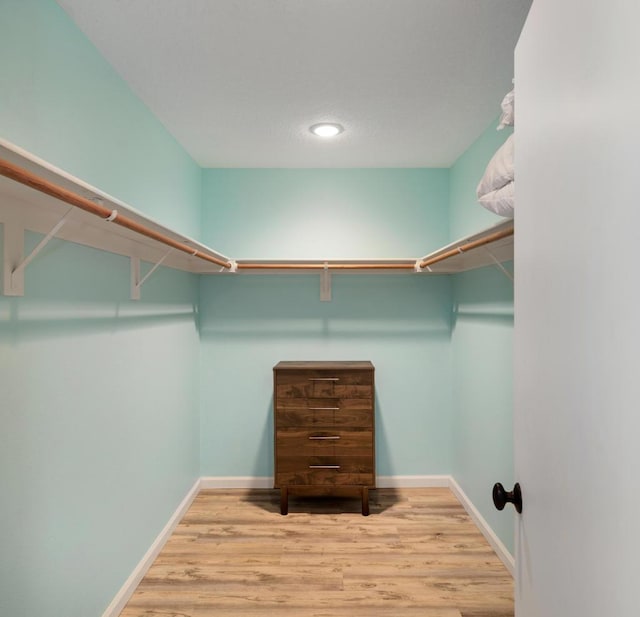 walk in closet with light wood-type flooring