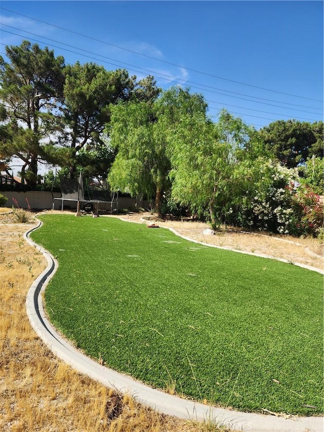 view of yard featuring a trampoline