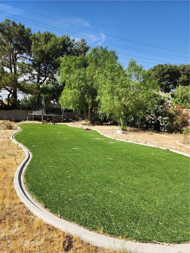 view of yard featuring a trampoline