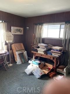 misc room featuring carpet and wooden walls