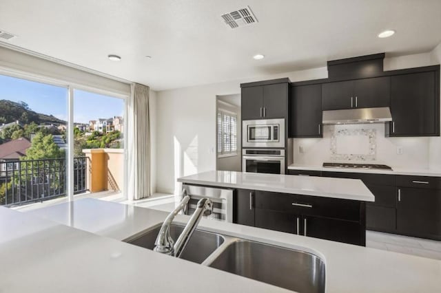 kitchen featuring stainless steel appliances and sink