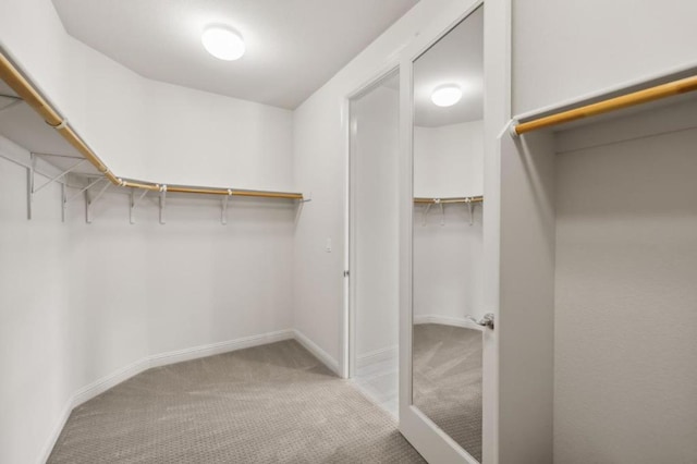 spacious closet with carpet