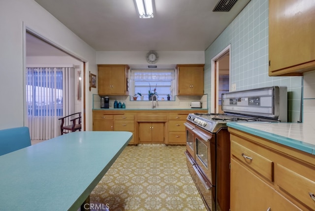 kitchen with tasteful backsplash, stainless steel range oven, and sink