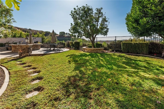 view of yard featuring a patio