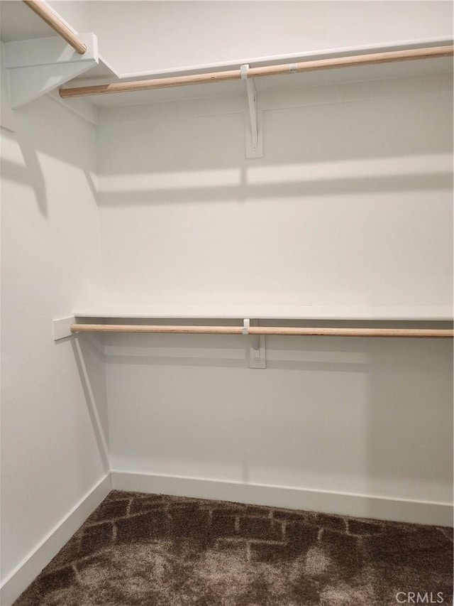 spacious closet with carpet flooring