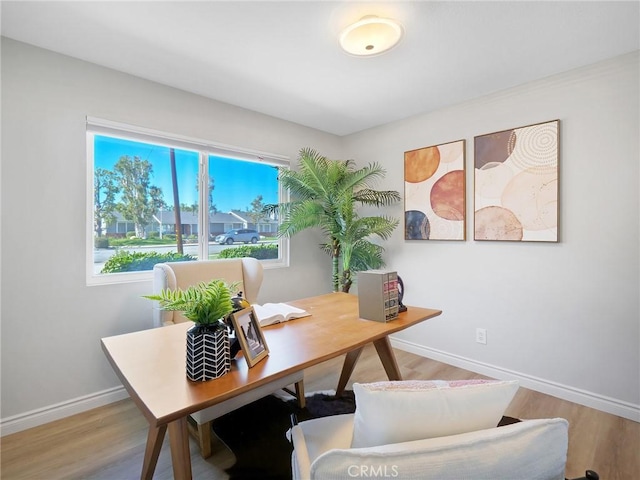 office space featuring hardwood / wood-style floors