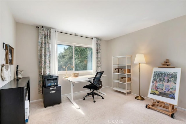 office space with light carpet