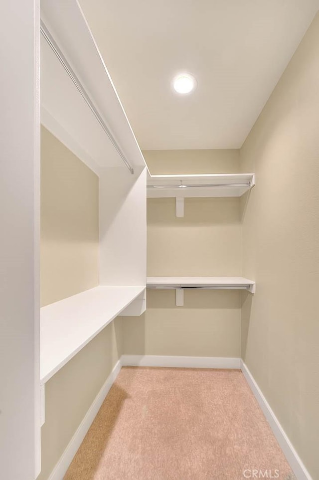 walk in closet featuring light colored carpet