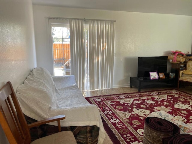 living room featuring hardwood / wood-style floors