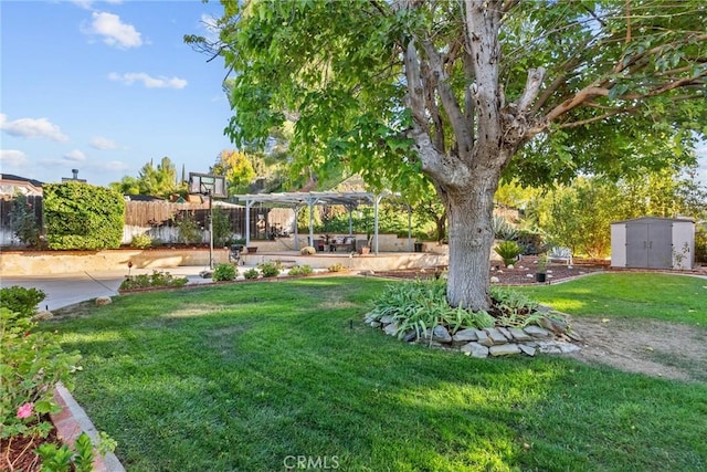 view of yard featuring a pergola and a storage unit