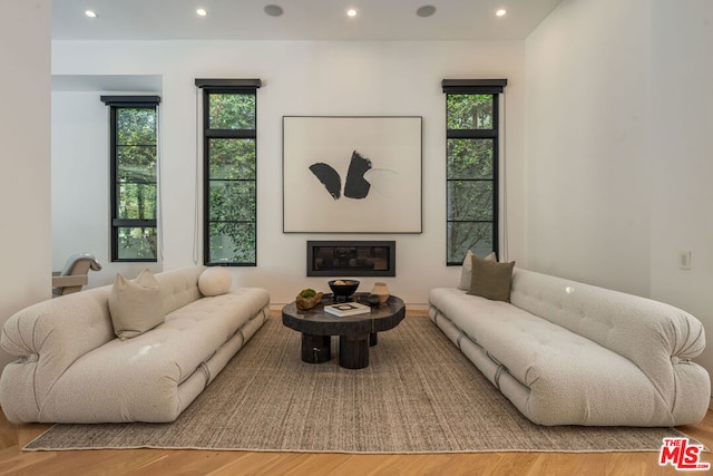 living room featuring light hardwood / wood-style flooring