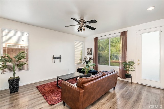 living room with ceiling fan and light hardwood / wood-style flooring