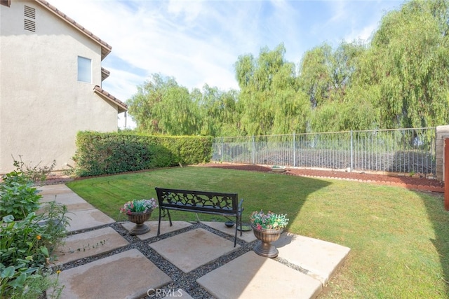 view of yard featuring a patio area