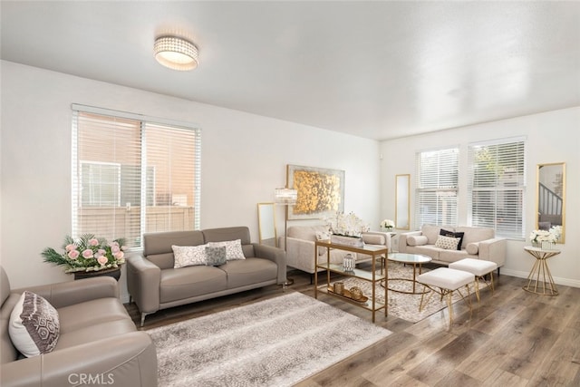 living room with hardwood / wood-style flooring