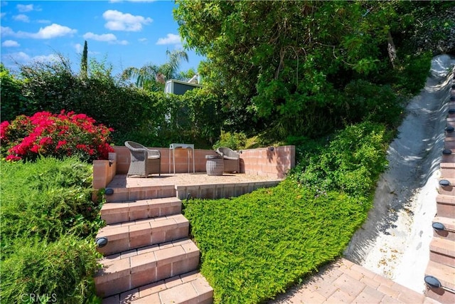 view of yard with a patio area