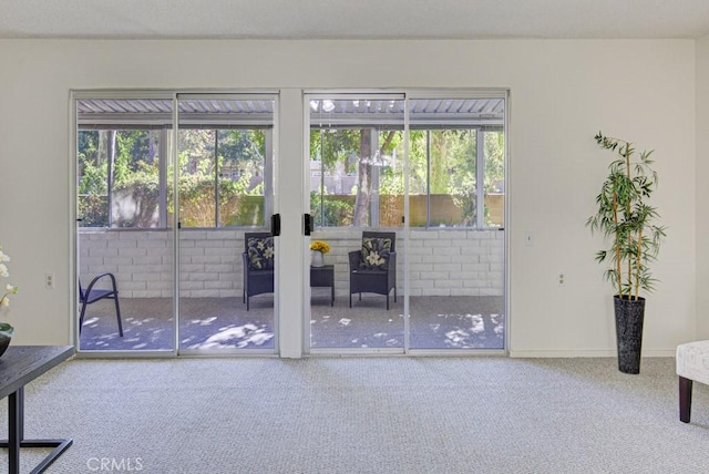 entryway featuring plenty of natural light and carpet floors