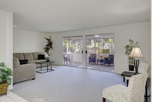 living room featuring a textured ceiling