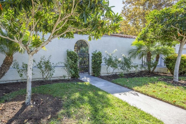view of front of house featuring stucco siding and a front yard