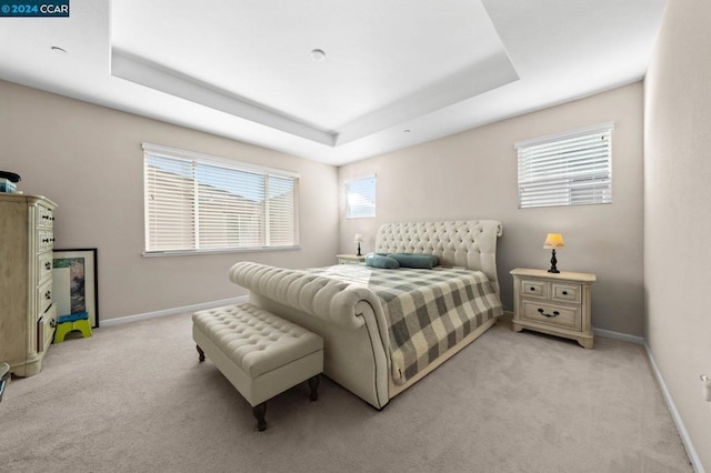 carpeted bedroom featuring a tray ceiling