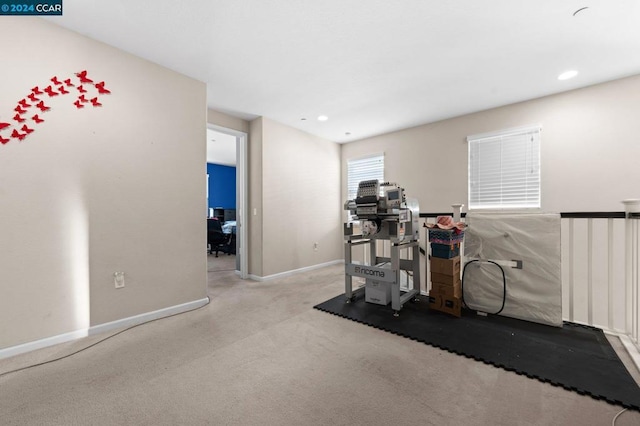 workout area featuring light colored carpet