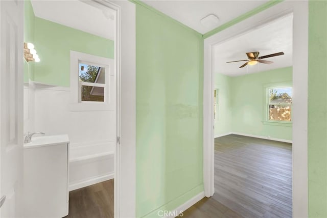 interior space featuring vanity, hardwood / wood-style flooring, ceiling fan, and a tub